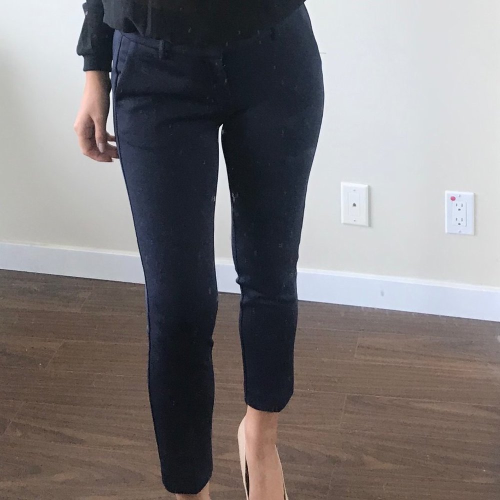 Dress pant